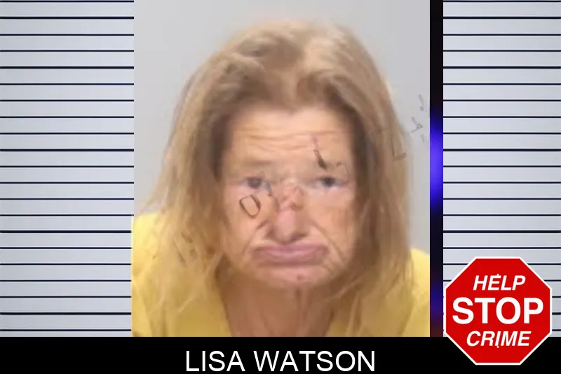 Lisa Watson mugshot