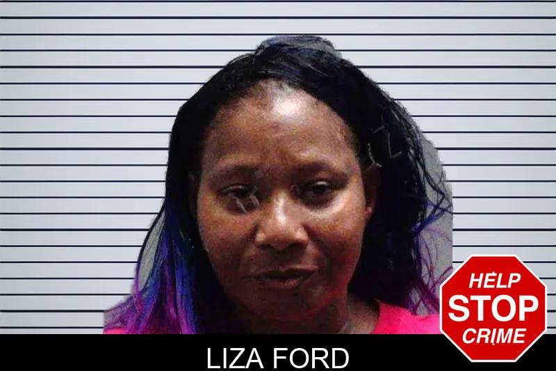 Liza Ford mugshot