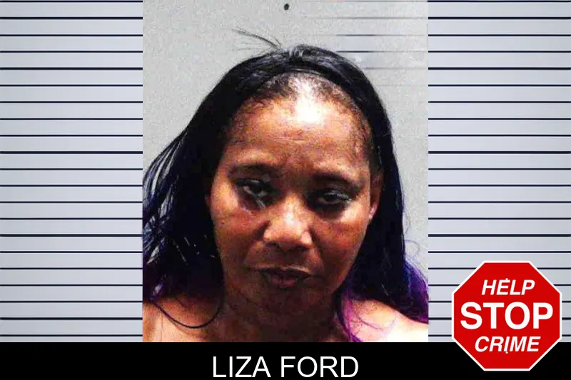 Liza Ford mugshot