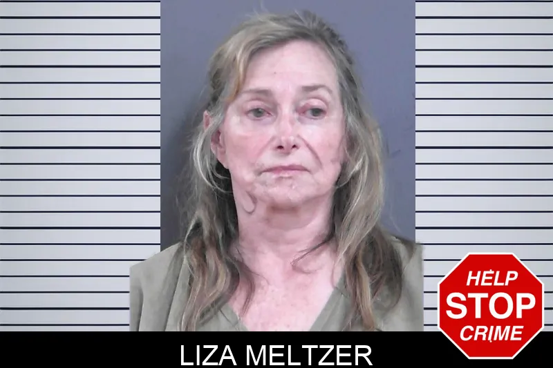Liza Meltzer mugshot