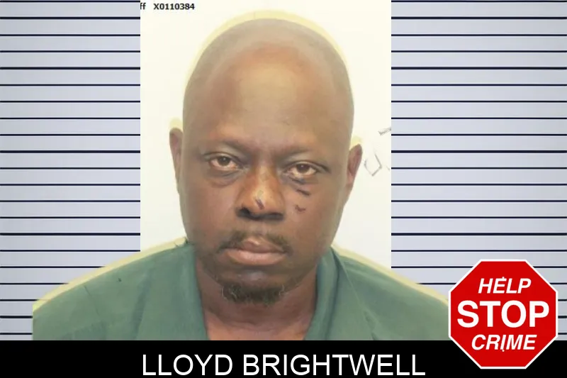 Lloyd Brightwell mugshot