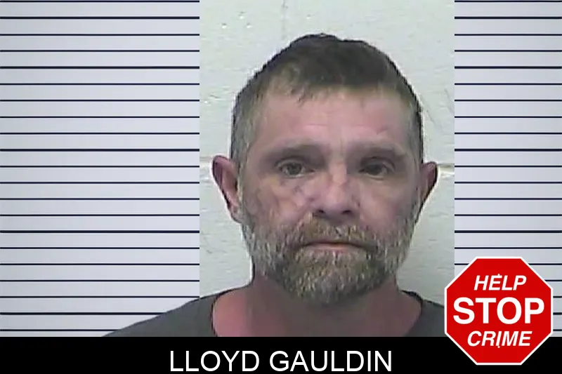 Lloyd Gauldin mugshot