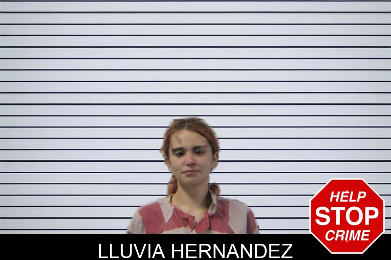 Lluvia Hernandez mugshot