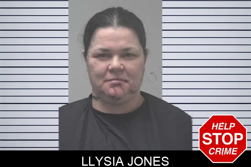 Llysia Jones mugshot