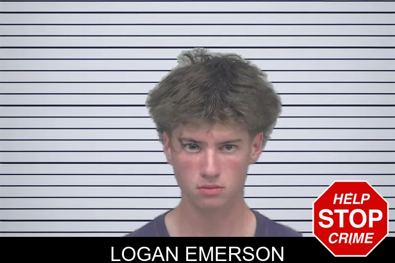 Logan Emerson mugshot