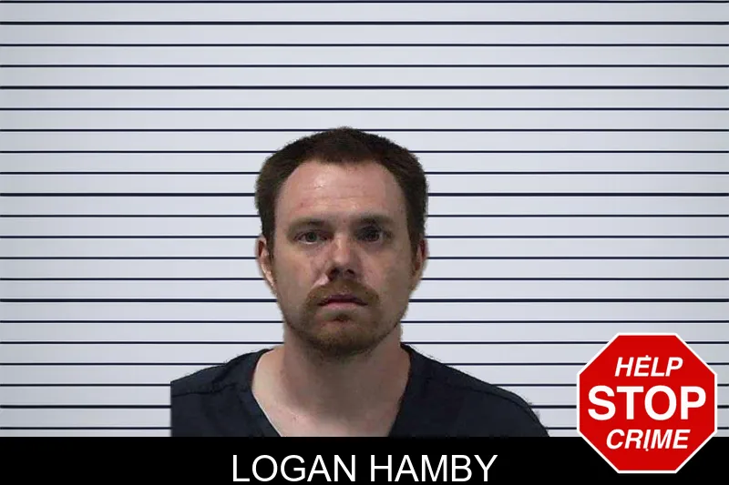 Logan Hamby mugshot – Gilmer County , Georgia Logan Hamby mugshot