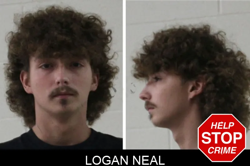 Logan Neal mugshot
