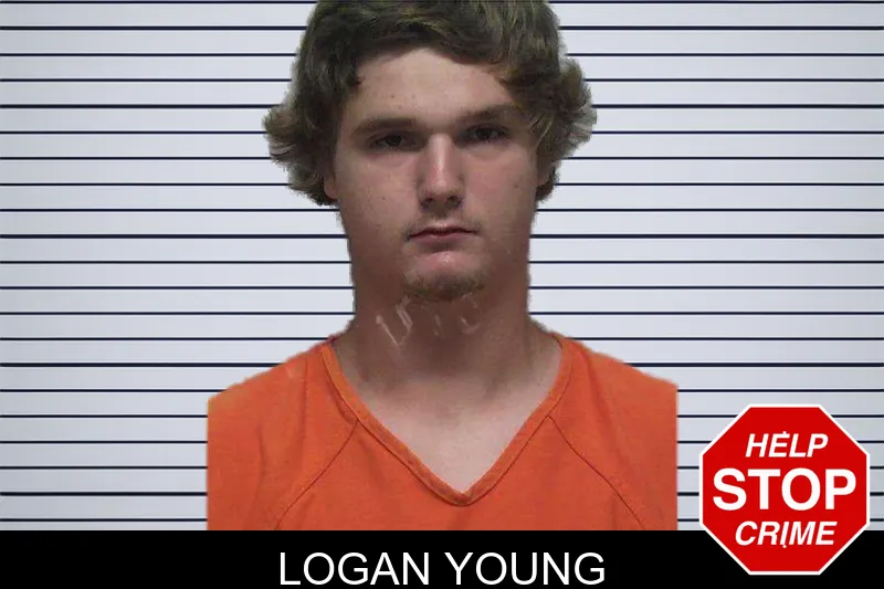 Logan Young mugshot – Laurens County , Georgia Logan Young mugshot