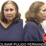 Lolimar Pulido Fernandez mugshot