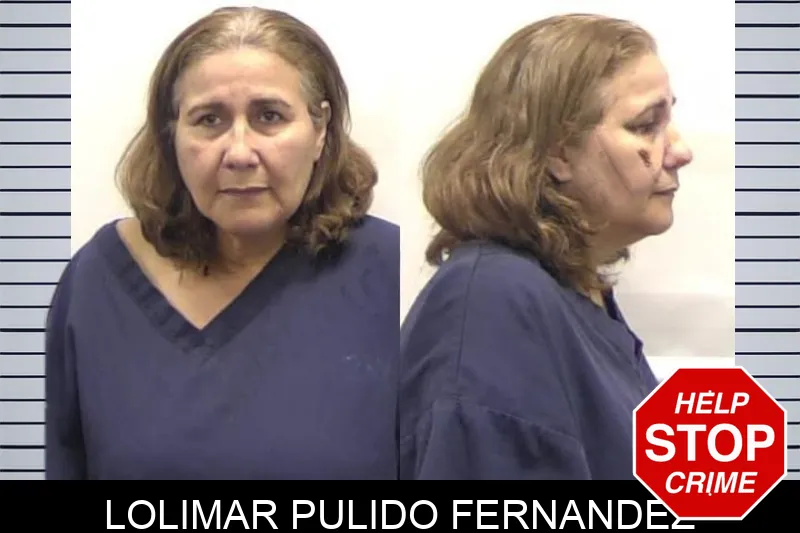 Lolimar Pulido Fernandez mugshot