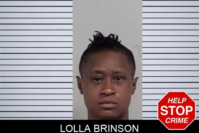 Lolla Brinson mugshot – Lowndes County , Georgia Lolla Brinson