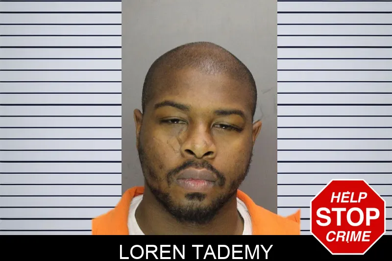 Loren Tademy mugshot – Cobb County , Georgia Loren Tademy mugshot