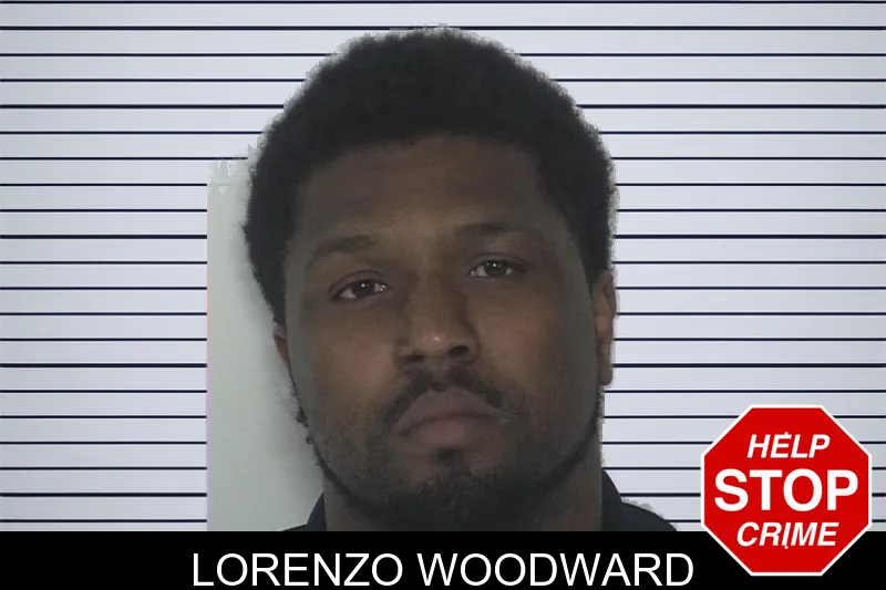 Lorenzo Woodward mugshot – Fayette County , Georgia Lorenzo Woodward mugshot