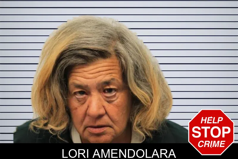 Lori Amendolara mugshot