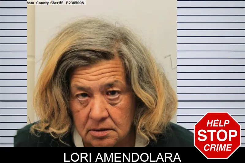 Lori Amendolara mugshot