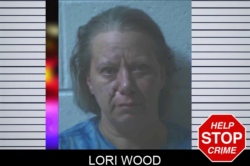 Lori Wood mugshot