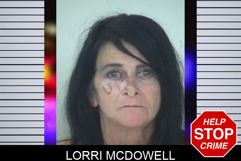 Lorri McDowell mugshot – Fayette County , Georgia Lorri McDowell mugshot