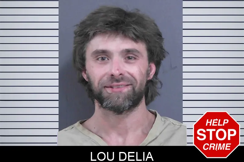 Lou Delia mugshot