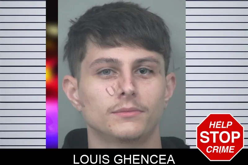 Louis Ghencea mugshot