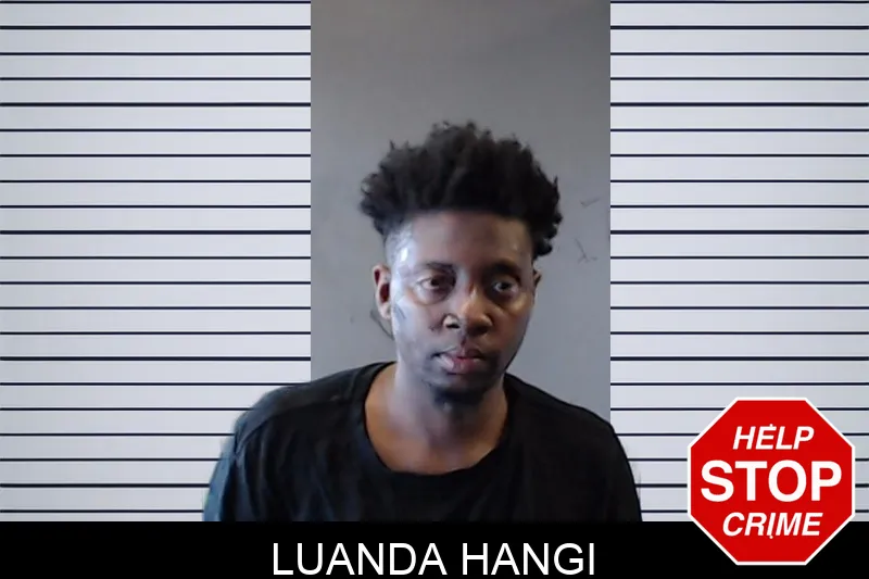 Luanda Hangi mugshot – DeKalb County , Georgia Luanda Hangi mugshot