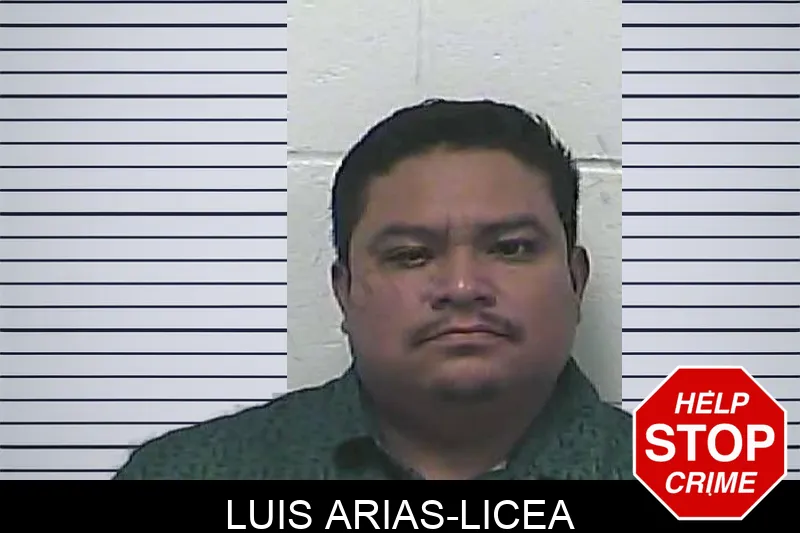 Luis Arias-Licea mugshot