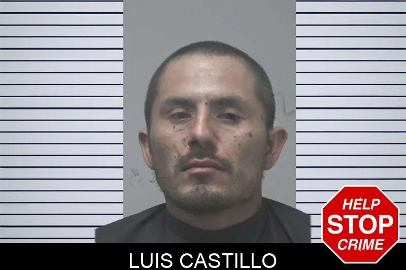 Luis Castillo mugshot