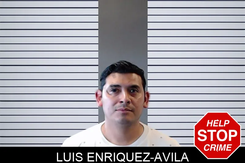 Luis Enriquez-Avila mugshot