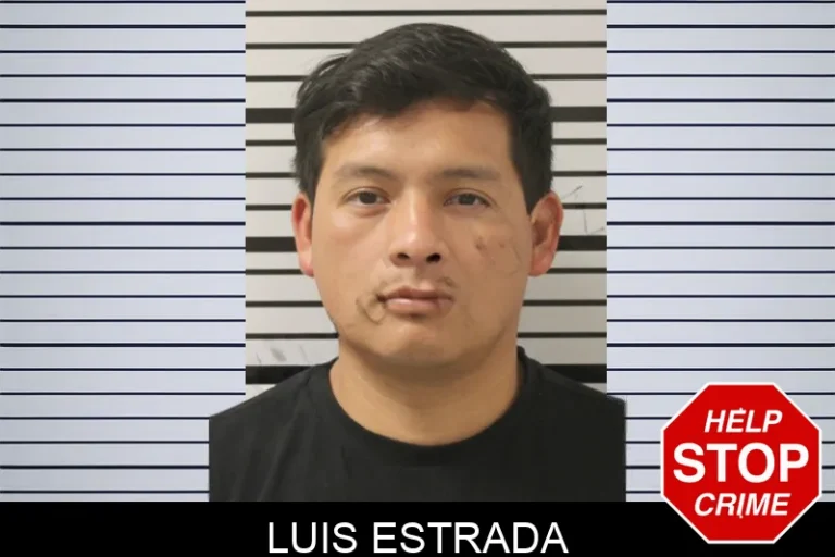 Luis Estrada