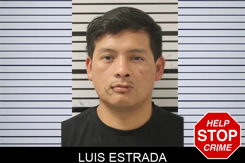 Luis Estrada mugshot