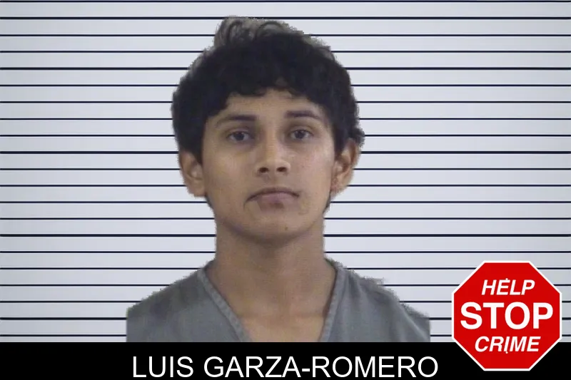 Luis Garza-Romero mugshot