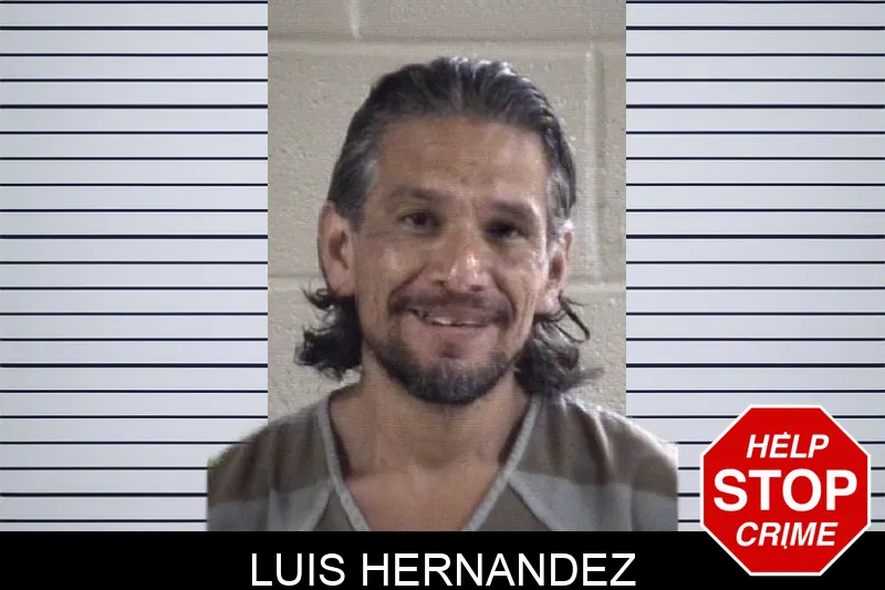 Luis Hernandez mugshot
