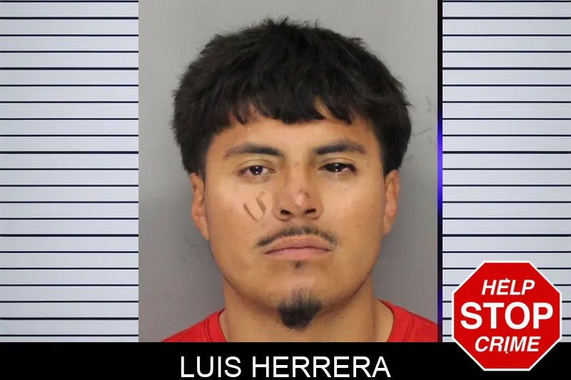 Luis Herrera mugshot