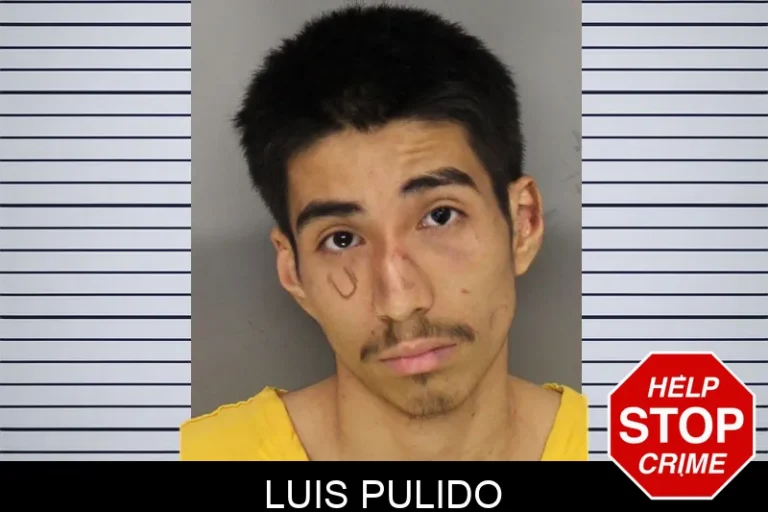 Luis Pulido