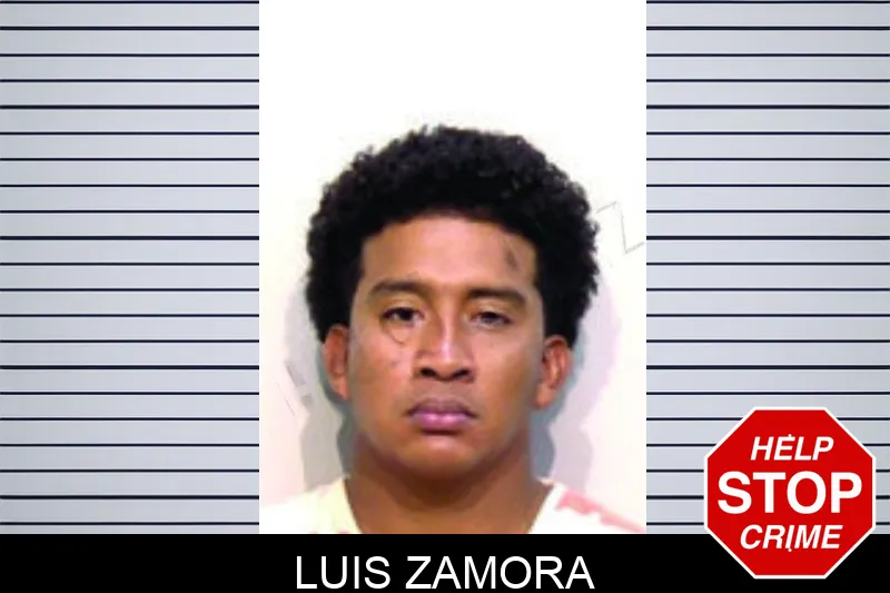 Luis Zamora mugshot – Bartow County , Georgia Luis Zamora mugshot
