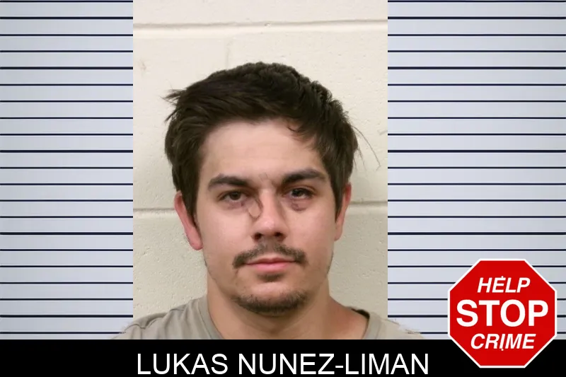 Lukas Nunez-Liman mugshot – Bulloch County , Georgia Lukas Nunez-Liman mugshot