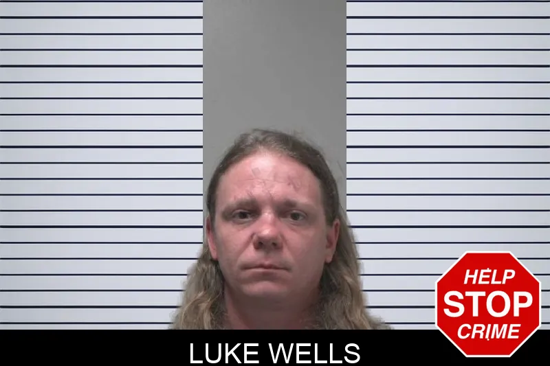 Luke Wells mugshot
