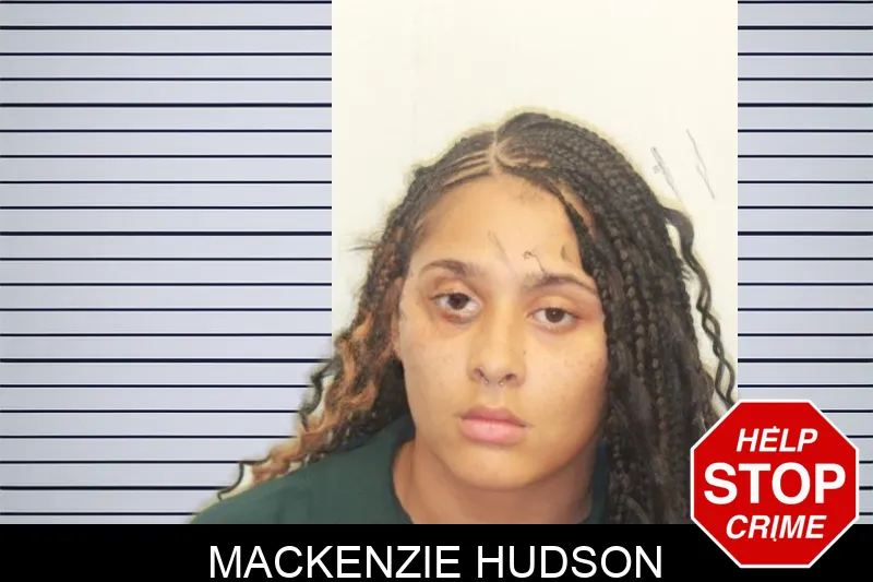 MacKenzie Hudson mugshot – Chatham County , Georgia MacKenzie Hudson mugshot