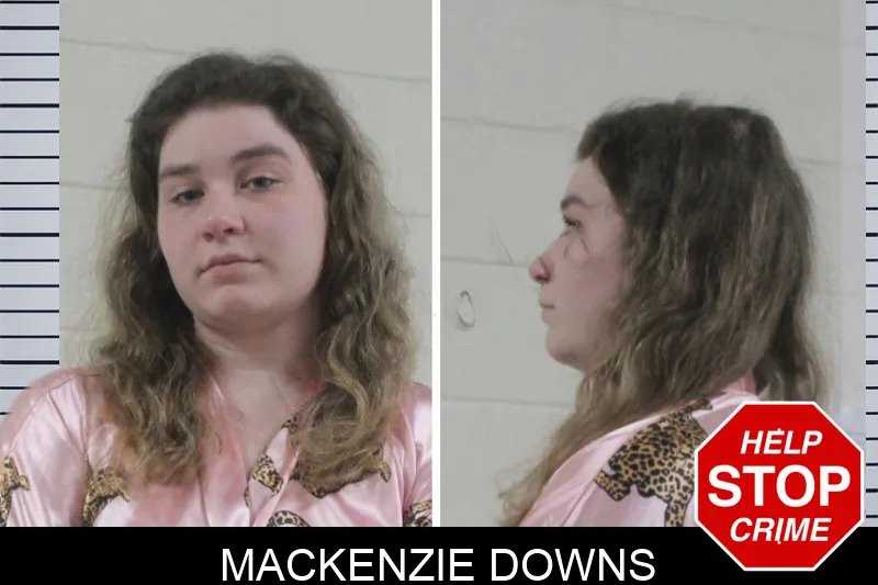 Mackenzie Downs mugshot – Houston County , Georgia Mackenzie Downs mugshot