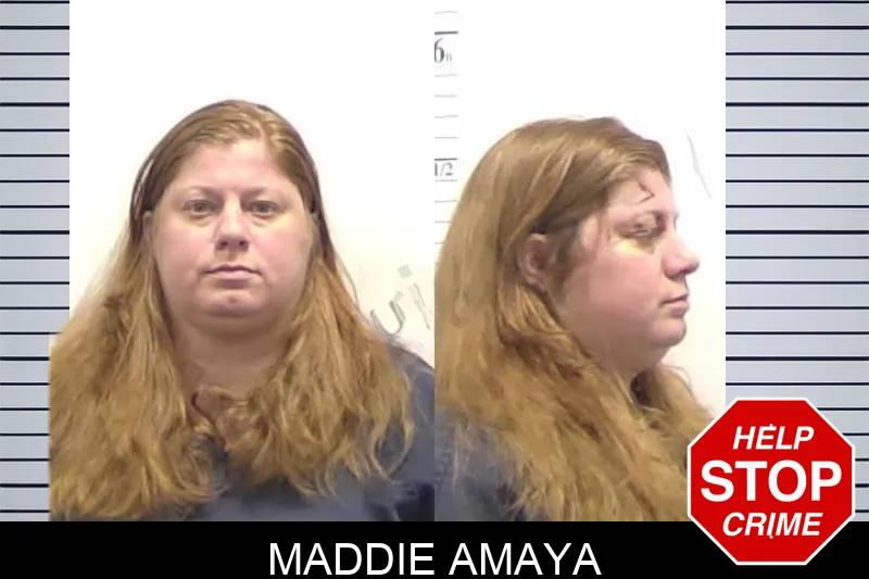 Maddie Amaya mugshot