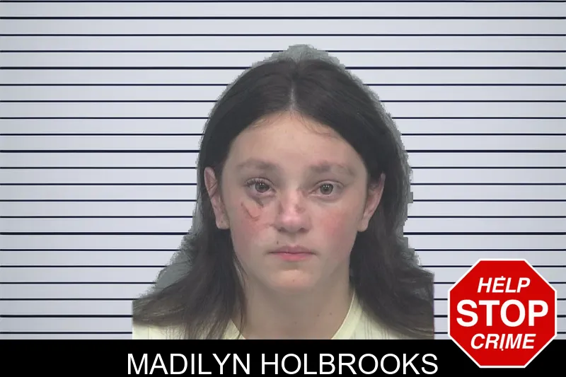 Madilyn Holbrooks mugshot