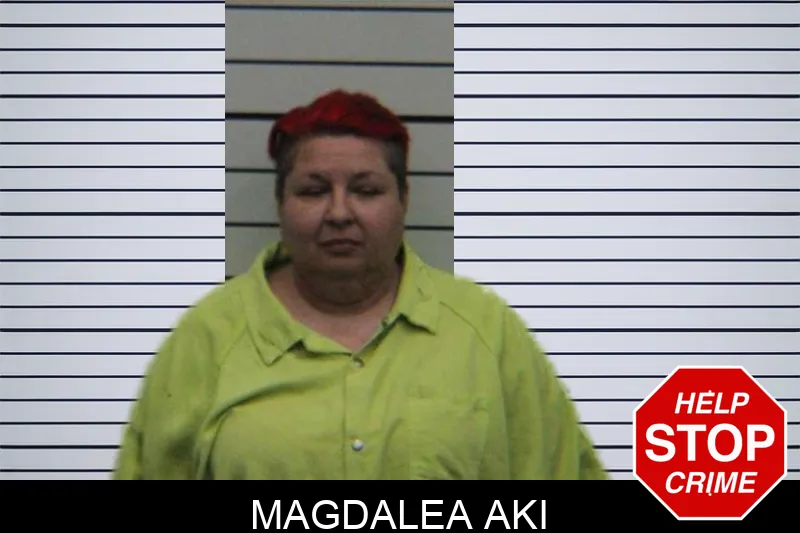 Magdalea Aki mugshot – Turner County , Georgia Magdalea Aki mugshot