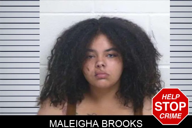 Maleigha Brooks mugshot