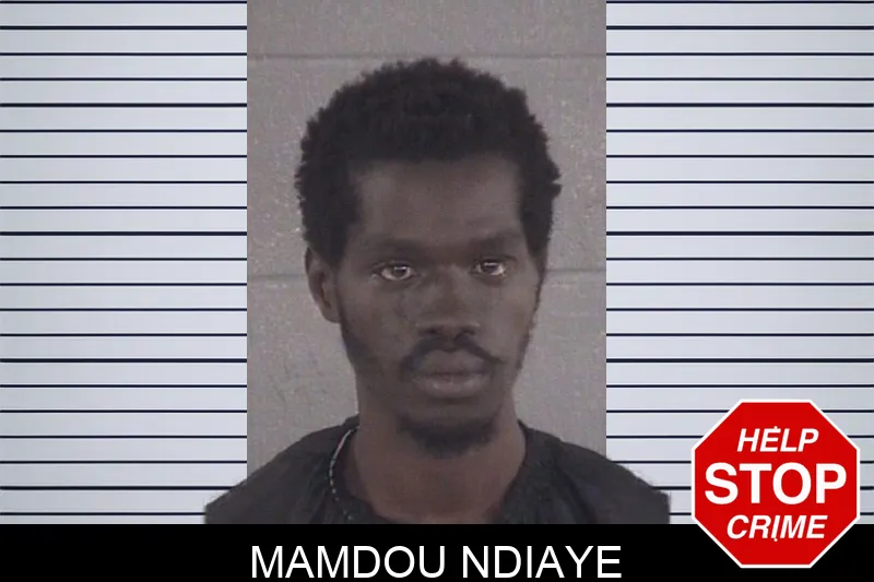 Mamdou Ndiaye mugshot