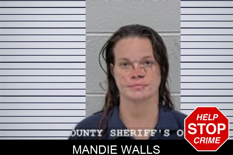 Mandie Walls mugshot – Walton County , Georgia Mandie Walls mugshot