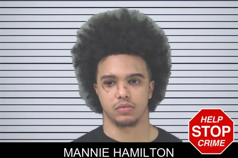 Mannie Hamilton mugshot – Douglas County , Georgia Mannie Hamilton