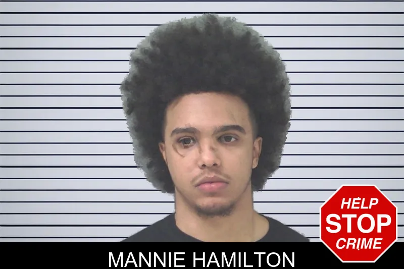 Mannie Hamilton mugshot