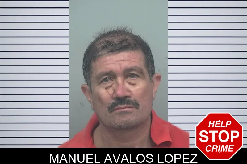 Manuel Avalos Lopez mugshot