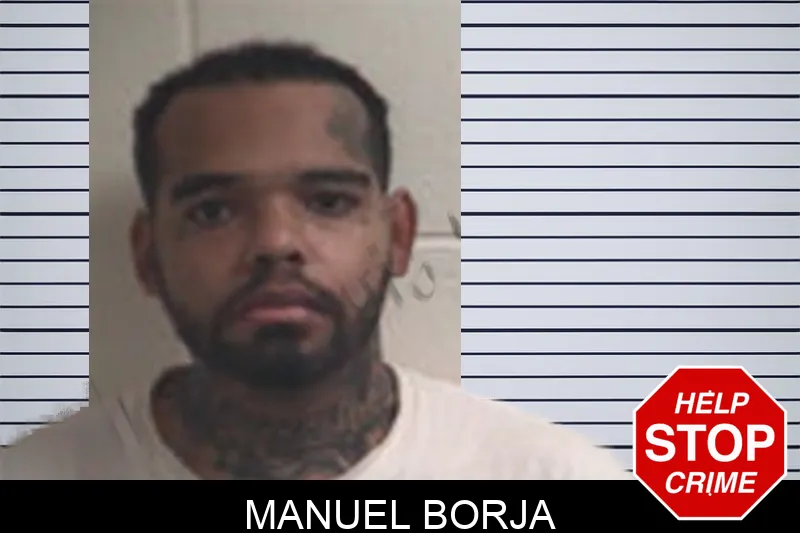 Manuel Borja mugshot – Henry County , Georgia Manuel Borja mugshot