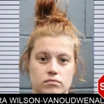 Mara Wilson-Vanoudwenallen mugshot – Forsyth County , Georgia Mara Wilson-Vanoudwenallen mugshot