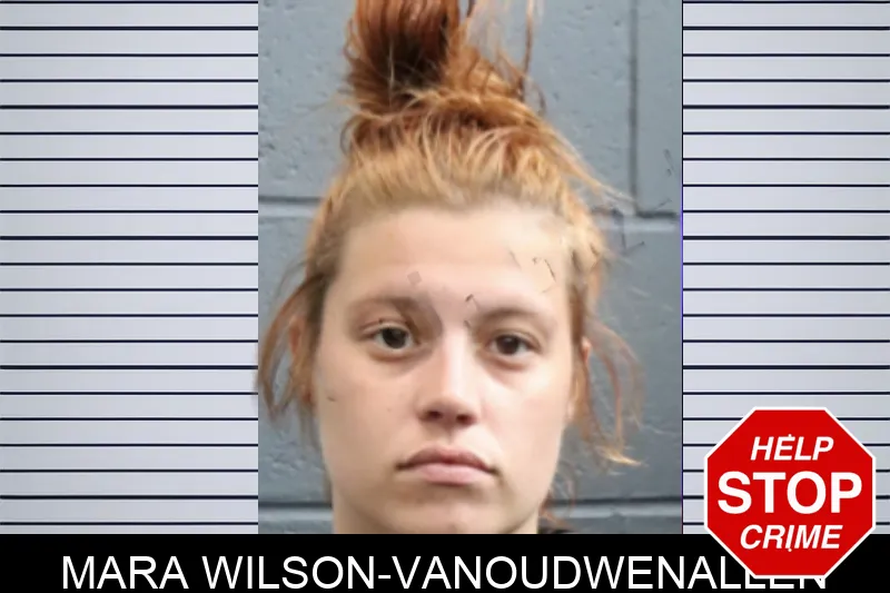 Mara Wilson-Vanoudwenallen mugshot – Forsyth County , Georgia Mara Wilson-Vanoudwenallen mugshot